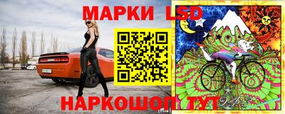 индика Анжеро-Судженск