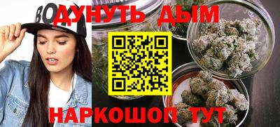индика Анжеро-Судженск