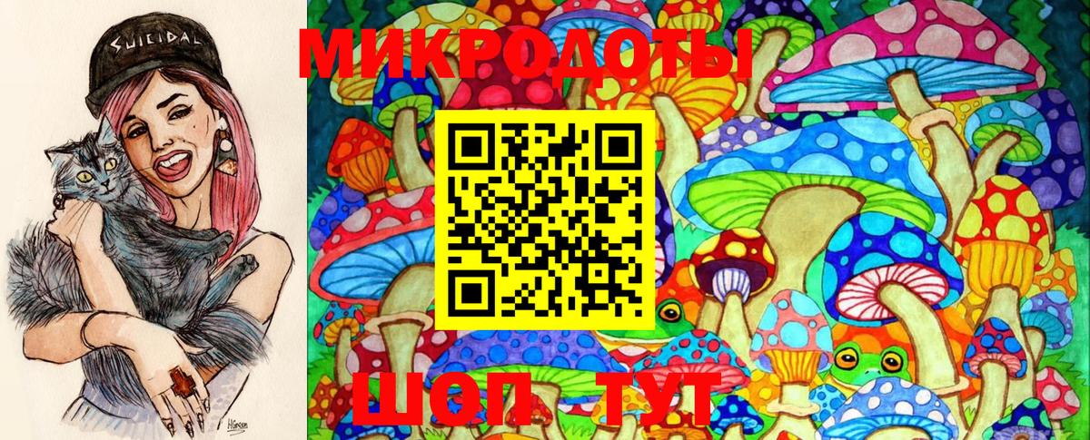 Галлюциногенные грибы Magic Shrooms  Вход с VPN  Новочеркасск  Псилоцибиновые грибы Psilocybe 
