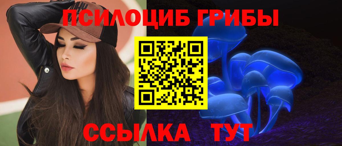 Галлюциногенные грибы прущие грибы Новочеркасск